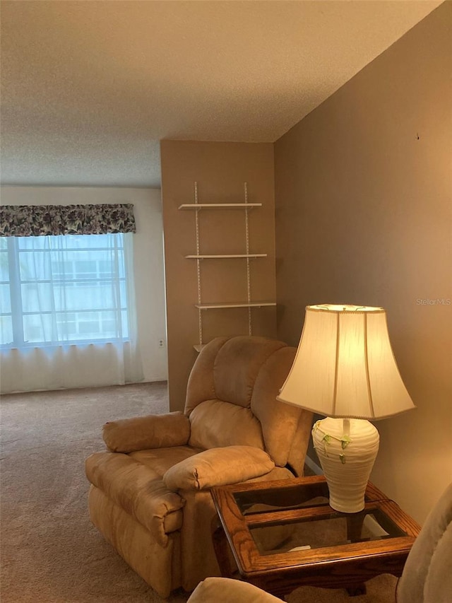 5623 80th St N Unit 314, Saint Petersburg, FL 33709 - carpeted living area with a textured ceiling