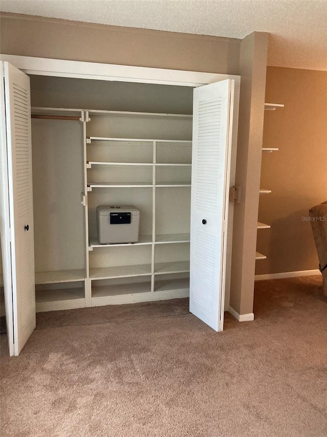 5623 80th St N Unit 314, Saint Petersburg, FL 33709 - closet with heating unit