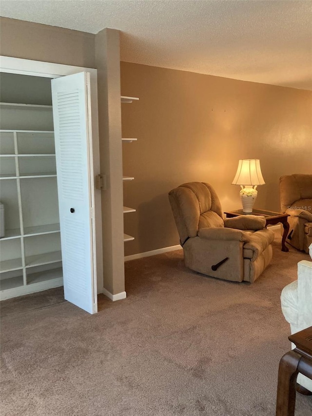 5623 80th St N Unit 314, Saint Petersburg, FL 33709 - sitting room with carpet floors and a textured ceiling