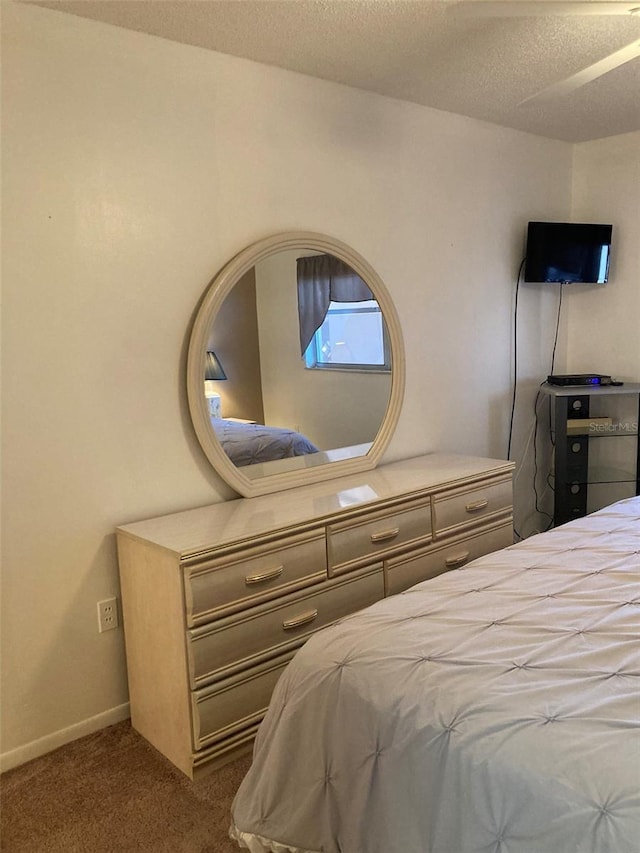 5623 80th St N Unit 314, Saint Petersburg, FL 33709 - bedroom with dark colored carpet and a textured ceiling