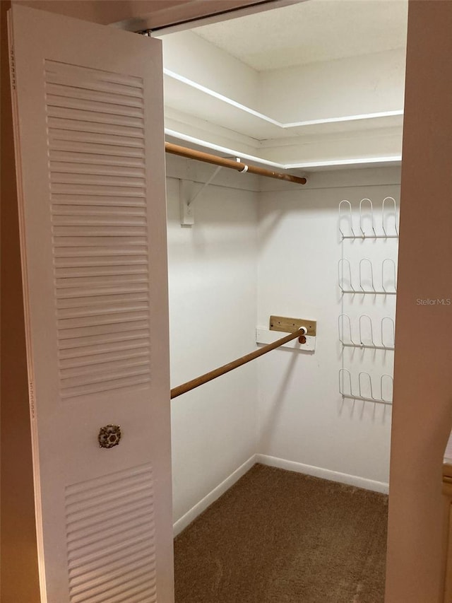 5623 80th St N Unit 314, Saint Petersburg, FL 33709 - walk in closet featuring carpet floors
