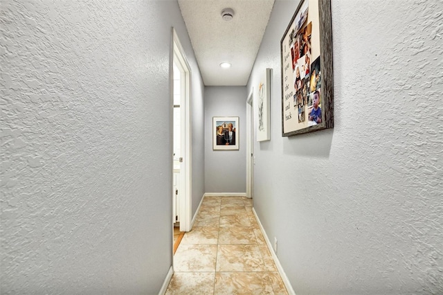 269 Los Prados Dr Unit 1011, Safety Harbor, FL 34695 - photo 17