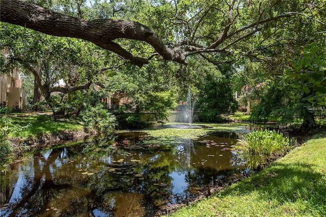 269 Los Prados Dr Unit 1011, Safety Harbor, FL 34695 - photo 24