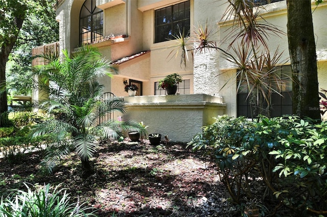 269 Los Prados Dr Unit 1011, Safety Harbor, FL 34695 - photo 23
