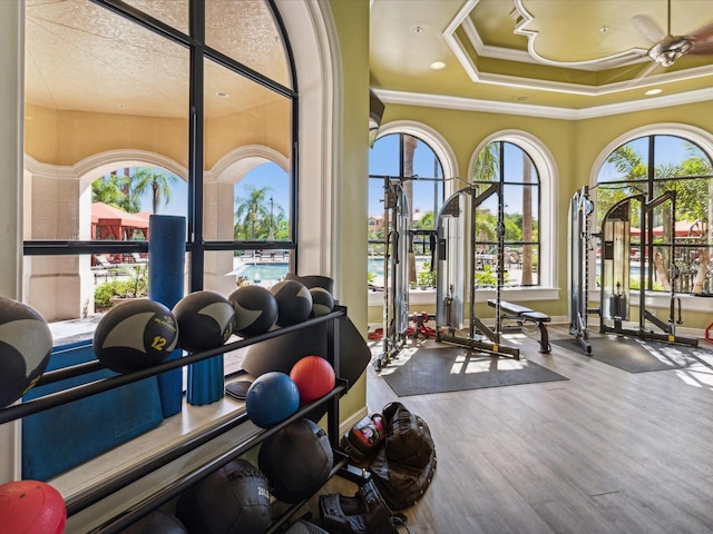 2733 Via Cipriani Unit 830B, Clearwater, FL 33764 - gym with ornamental molding, ceiling fan, a tray ceiling, and wood finished floors