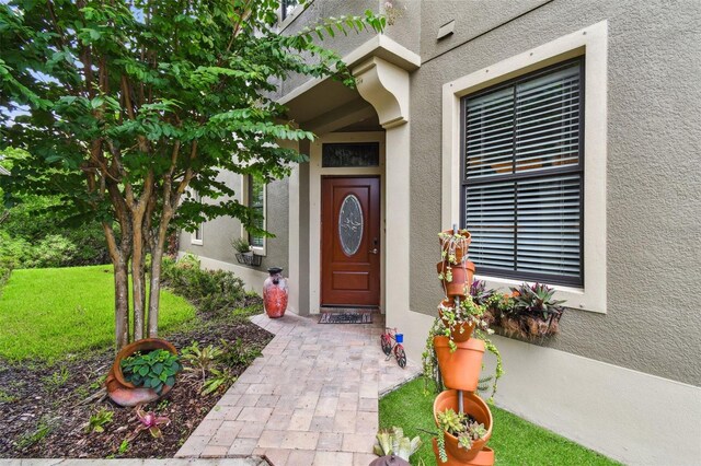 7929 Tasso Ct, Seminole, FL 33777 - photo 7