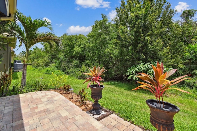 7929 Tasso Ct, Seminole, FL 33777 - photo 61