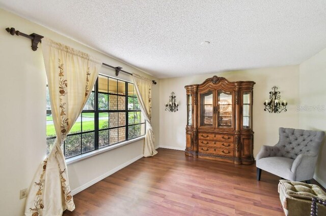 6642 Parson Brown Dr, Orlando, FL 32819 - living area with a textured ceiling and wood finished floors
