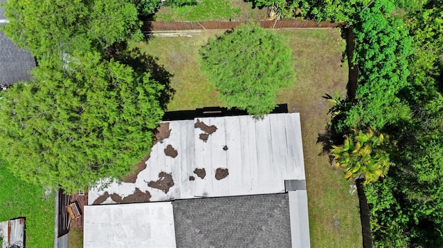 8105 N Grady Ave, Tampa, FL 33614 - photo 45