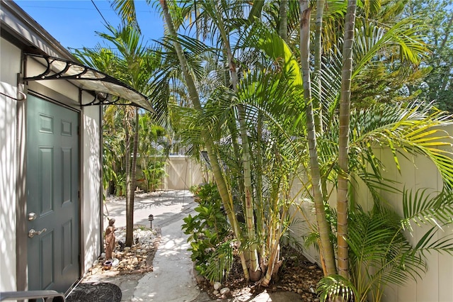 441 75th Ave N, Saint Petersburg, FL 33702 - view of yard