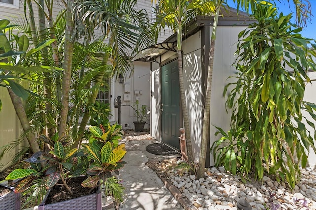441 75th Ave N, Saint Petersburg, FL 33702 - doorway to property