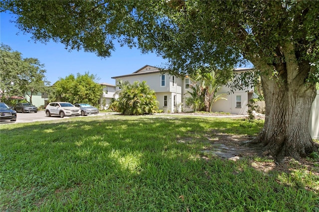 441 75th Ave N, Saint Petersburg, FL 33702 - view of green lawn