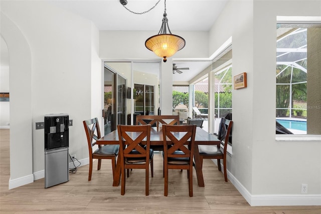 5360 Karlsburg Pl, Palm Harbor, FL 34685 - photo 22