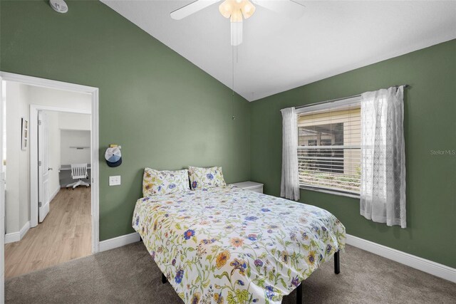 5360 Karlsburg Pl, Palm Harbor, FL 34685 - photo 37