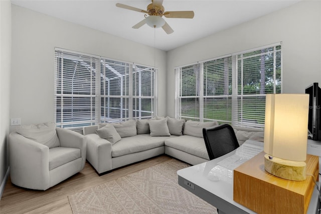 5360 Karlsburg Pl, Palm Harbor, FL 34685 - photo 39