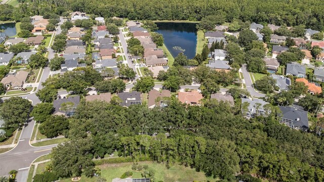 5360 Karlsburg Pl, Palm Harbor, FL 34685 - photo 60