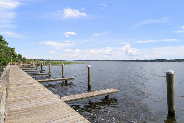 5360 Karlsburg Pl, Palm Harbor, FL 34685 - photo 63