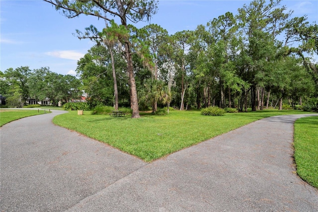5360 Karlsburg Pl, Palm Harbor, FL 34685 - photo 65