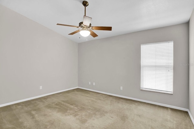 1706 Erin Brooke Dr, Valrico, FL 33594 - photo 13