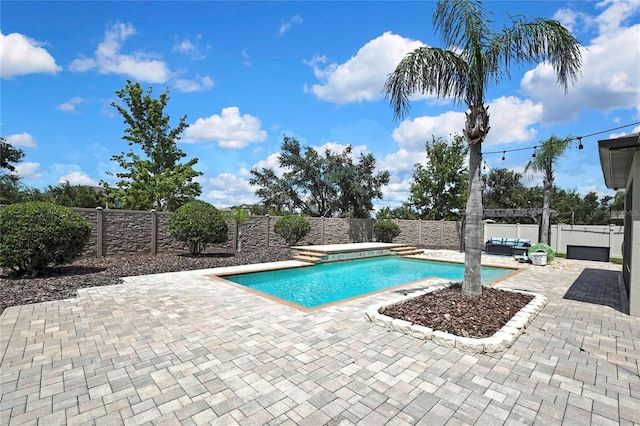 1669 Feather Grass Loop, Lutz, FL 33558 - view of swimming pool with a fenced backyard, a patio, and a jacuzzi