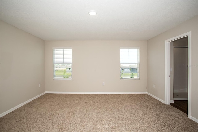 1229 Tidal St, Haines City, FL 33844 - unfurnished bedroom featuring carpet flooring and multiple windows