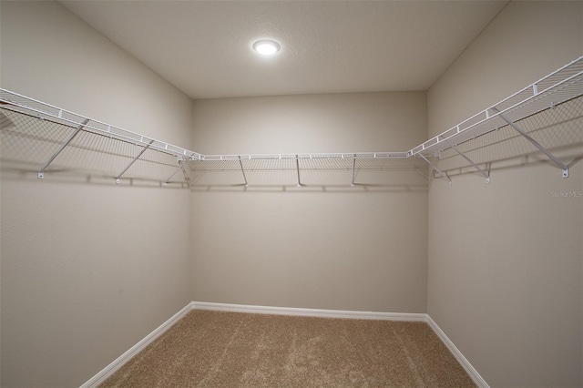 1229 Tidal St, Haines City, FL 33844 - spacious closet featuring carpet flooring