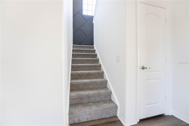 9110 Lantern Oak Way, Land O Lakes, FL 34638 - stairway featuring wood finished floors