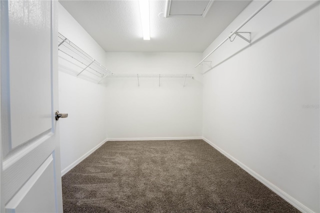 9110 Lantern Oak Way, Land O Lakes, FL 34638 - spacious closet with carpet flooring
