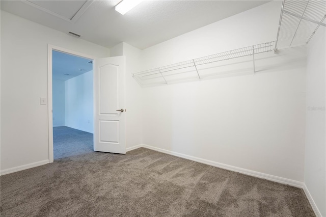 9110 Lantern Oak Way, Land O Lakes, FL 34638 - walk in closet featuring carpet flooring