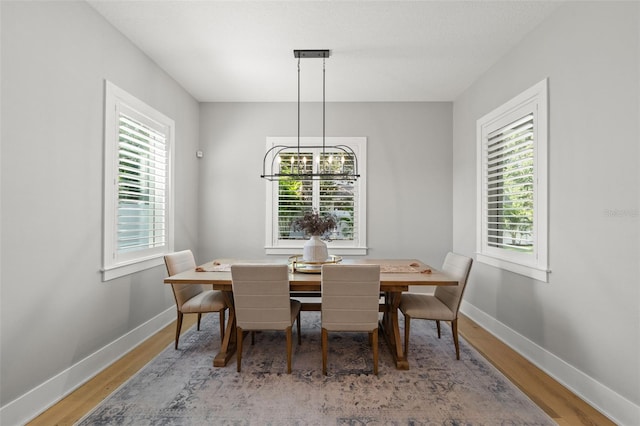 4114 W Neptune St, Tampa, FL 33629 - dining room with wood finished floors, plenty of natural light, and a chandelier
