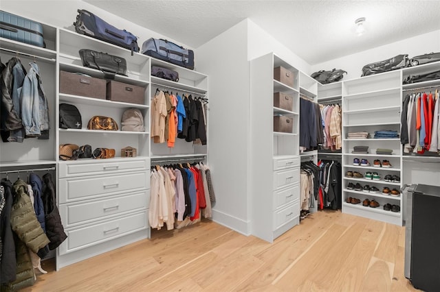 4114 W Neptune St, Tampa, FL 33629 - spacious closet featuring light wood-style floors