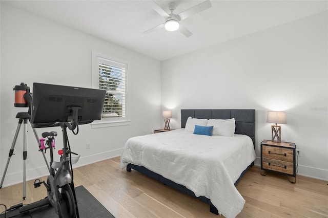 4114 W Neptune St, Tampa, FL 33629 - bedroom featuring light wood finished floors and a ceiling fan