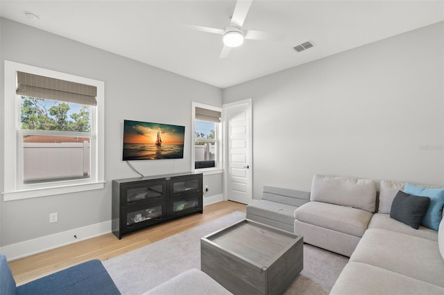 4114 W Neptune St, Tampa, FL 33629 - living room featuring wood finished floors and ceiling fan