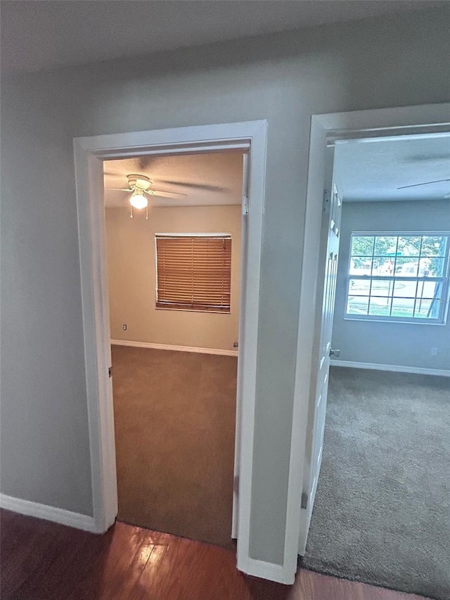 306 Seasons Ct, Apopka, FL 32712 - photo 15