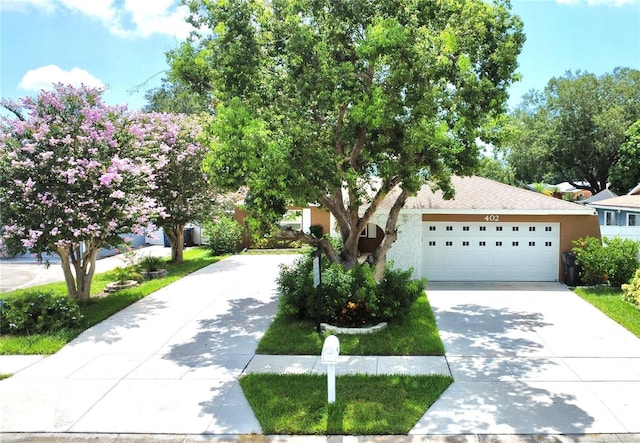 402 Evergreen Dr, Oldsmar, FL 34677 - photo 2