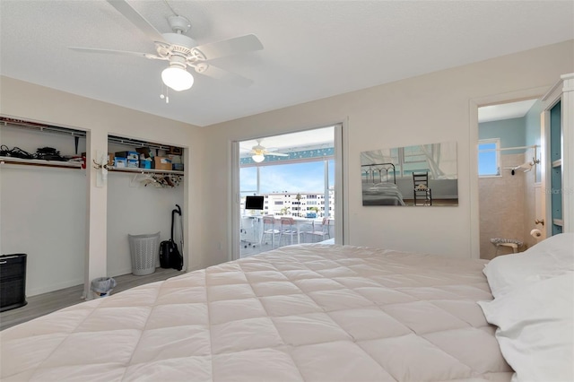 6025 Shore Blvd S Unit 408, Gulfport, FL 33707 - bedroom featuring multiple windows, two closets, wood finished floors, and a ceiling fan