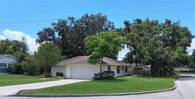 401 Fern Cliff Ave, Temple Terrace, FL 33617 - photo 2