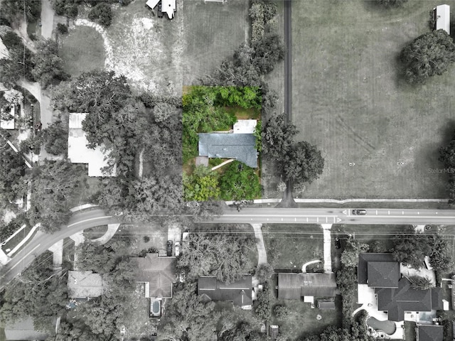 2510 Lake Ellen Dr, Tampa, FL 33618 - photo 49
