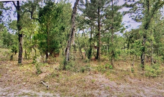 2842 W Leeward Pl, Citrus Springs, FL 34433
