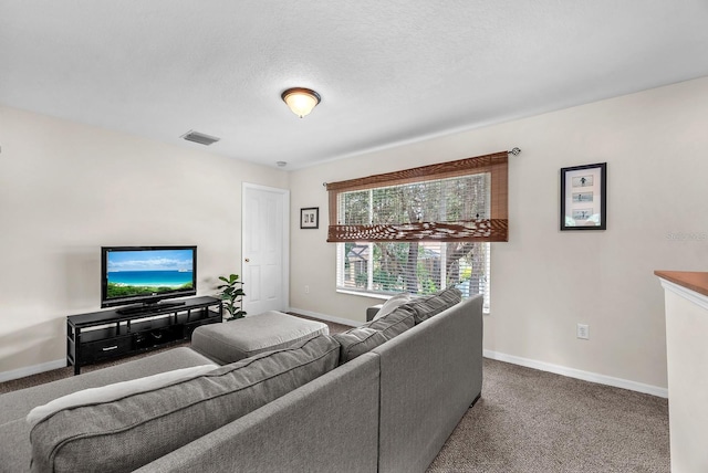 15206 Merlinpark Pl, Lithia, FL 33547 - photo 31