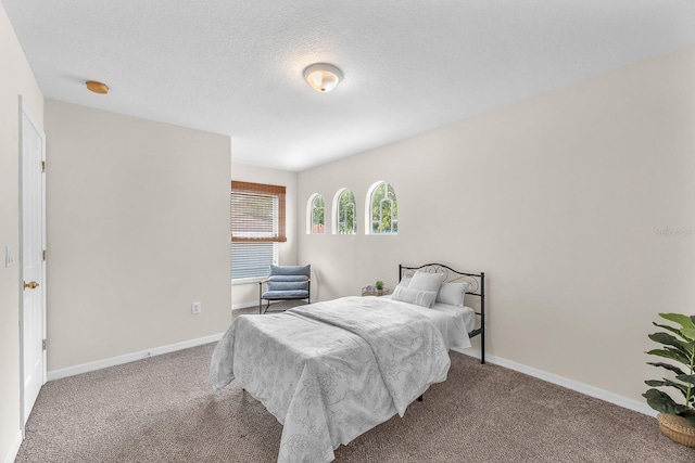 15206 Merlinpark Pl, Lithia, FL 33547 - photo 36