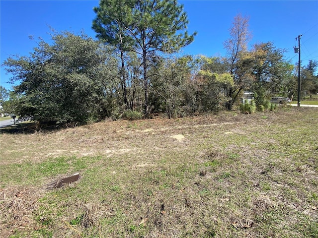 7209 N Galt Pt, Citrus Springs, FL 34434