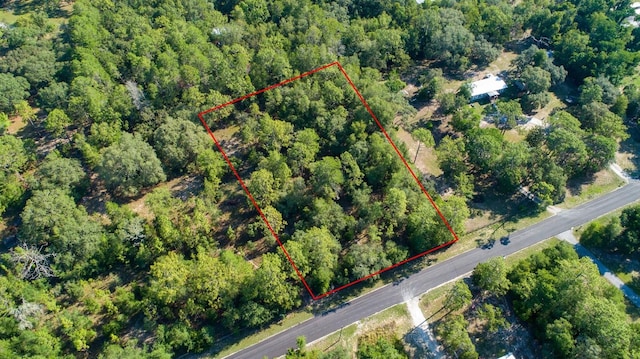 3197 E Squirrel Ct, Inverness, FL 34452