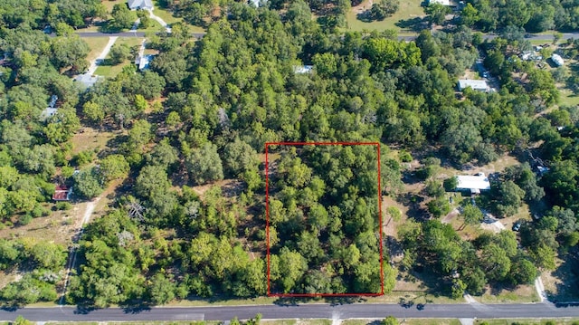 3197 E Squirrel Ct, Inverness, FL 34452