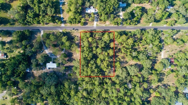 3197 E Squirrel Ct, Inverness, FL 34452