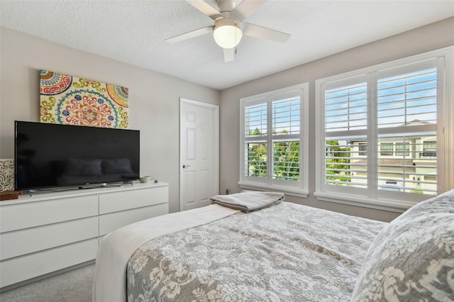 11519 Crowned Sparrow Ln, Tampa, FL 33626 - bedroom featuring carpet flooring and a ceiling fan