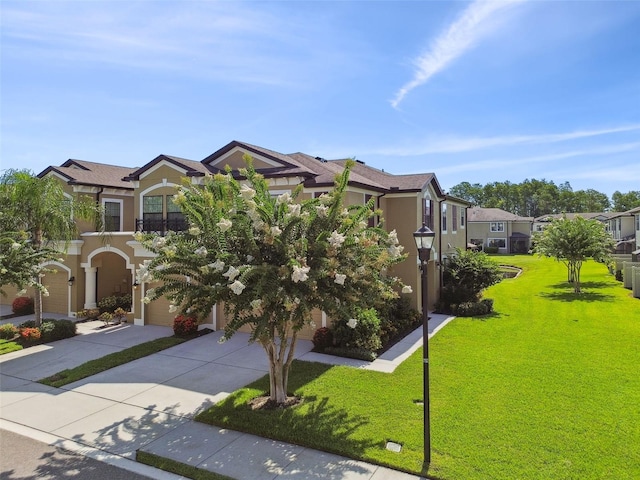 11519 Crowned Sparrow Ln, Tampa, FL 33626 - view of front of house featuring driveway, a residential view, stucco siding, and a front lawn