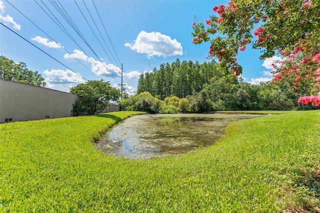 12910 Vicksburg Dr, Tampa, FL 33625 - photo 44
