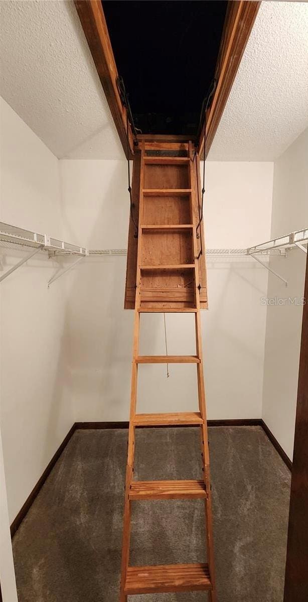 35140 Whispering Oaks Blvd, Dade City, FL 33523 - spacious closet with carpet