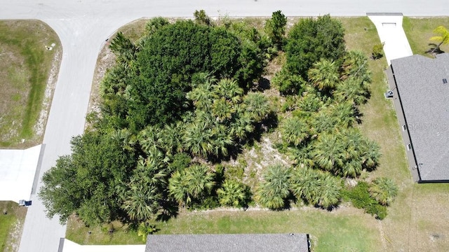 O, Palm Bay, FL 32908 - photo 1